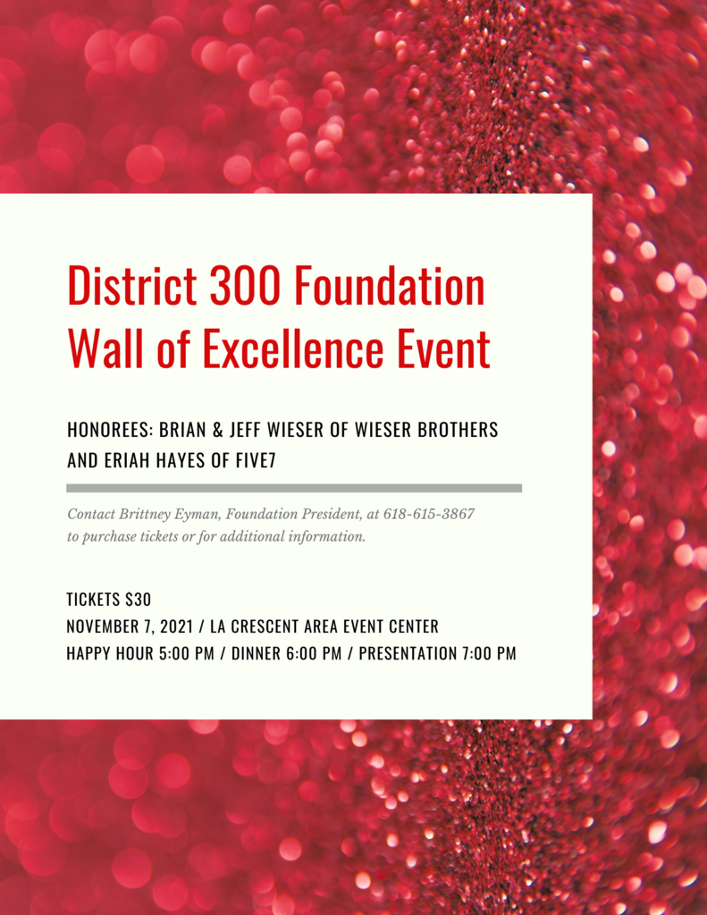 District 300 Foundation