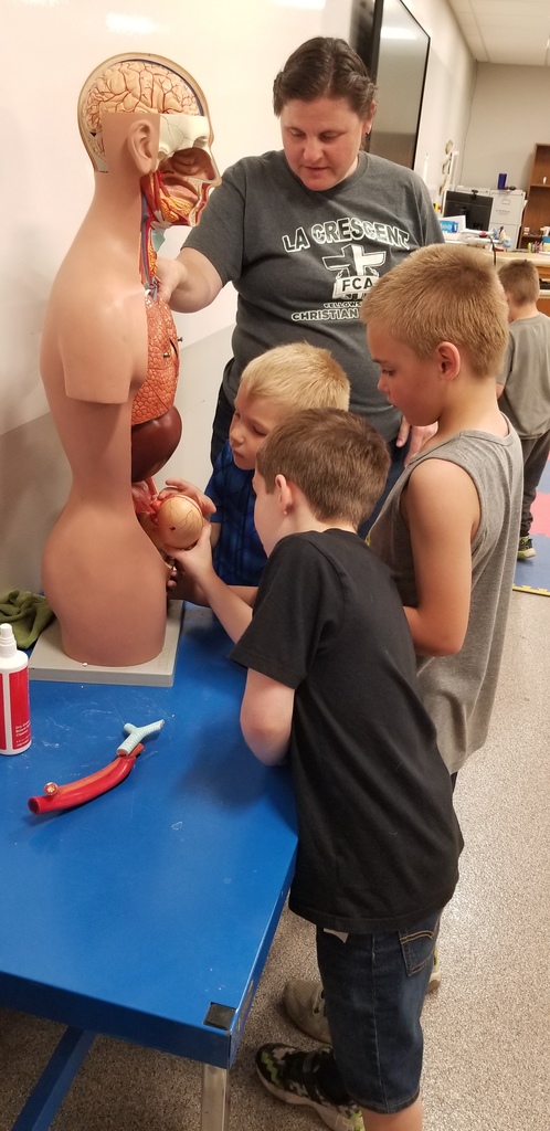 family night - students looking at anatomy